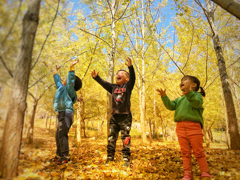 1543826044152800.jpg 222.jpg